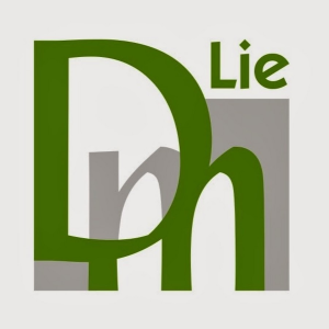 LieDM VMA